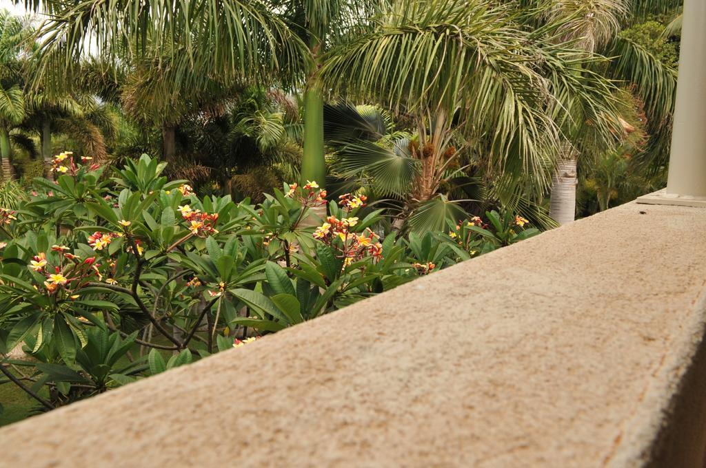 קיהיי Aloha Aku Inn & Suites חדר תמונה